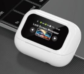 DADU DT-092 LCD+ANC earphones